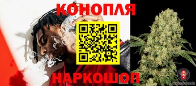 прущие грибы Изобильный
