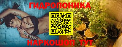 прущие грибы Изобильный