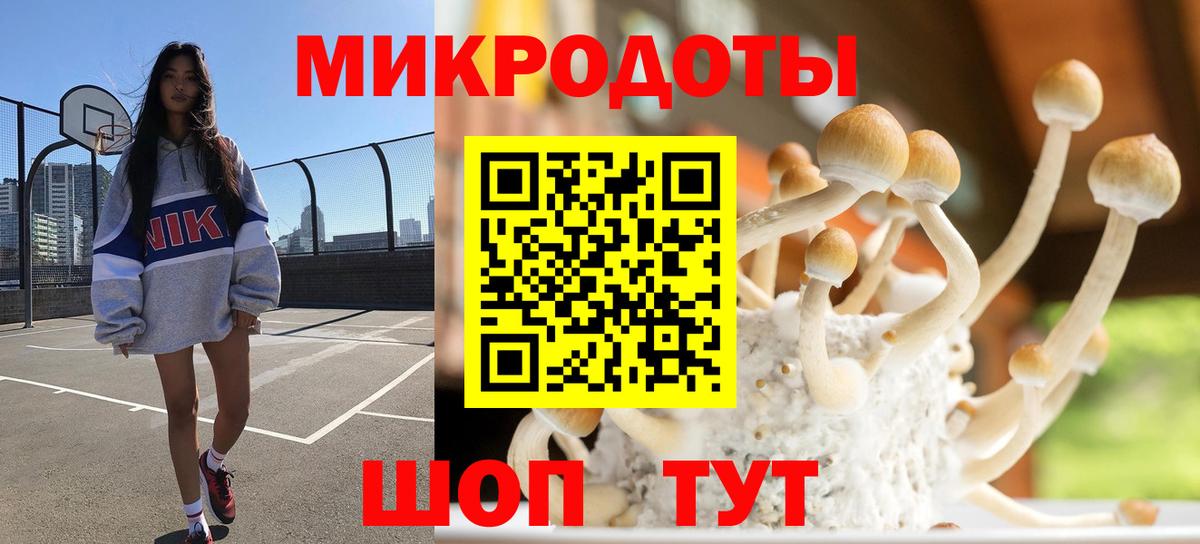 Псилоцибиновые грибы мухоморы Кунгур