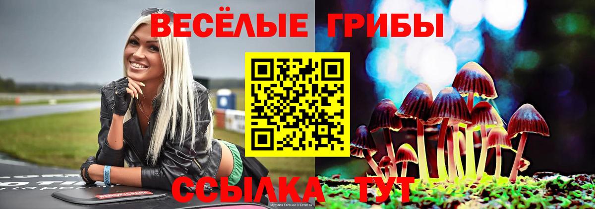 Кунгур  Псилоцибиновые грибы прущие грибы  Вход с VPN 